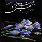 دانلود آهنگ نادر گلچین هدهد خوش خبر(تصنیف و اواز بیات ترک)