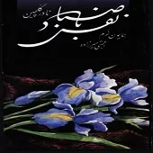 دانلود آهنگ نادر گلچین هدهد خوش خبر(تصنیف و اواز بیات ترک)