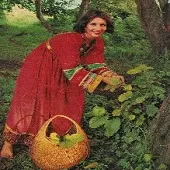 دانلود آهنگ نسرين سراب دانلود آهنگ نسرين سراب