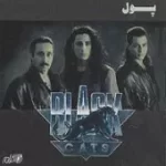 دانلود آهنگ گروه بلک کتس نوای عشق (Rythm of Love)