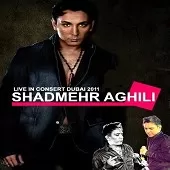 دانلود آهنگ شادمهر عقیلی میخواسمت دانلود آهنگ شادمهر عقیلی میخواسمت