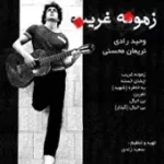 دانلود آهنگ گروه وحید رادی و نریمان محسنی زمونه غریب