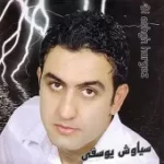 دانلود آهنگ سیاوش یوسفی رنگ آشنایی