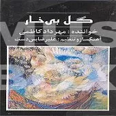 دانلود آهنگ مهرداد کاظمی تصنیف دل من