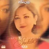 دانلود آهنگ  مرغک خیال | متن و کیفیت عالی دانلود آهنگ  مرغک خیال | متن و کیفیت عالی