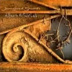 دانلود آهنگ جمشید شریفی Through The Veil