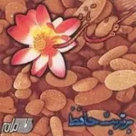 دانلود آهنگ نادر گلچین بر تربت حافظ