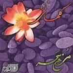 دانلود آهنگ نادر گلچین مرغ سحر