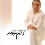 دانلود آهنگ امیر شهیار تولد دوباره
