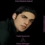 دانلود آهنگ گروه وحید هنرور و احسان برزگر کوچه های تهران