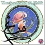 دانلود آهنگ هوشمند عقیلی دیدنیست