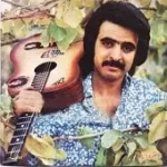 دانلود آهنگ فریدون فروغی آدمک دانلود آهنگ فریدون فروغی آدمک