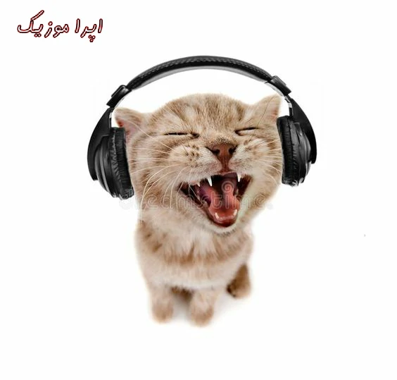 دانلود آهنگ در میزنن صدا تق تق میاد همسایه زنگ زده ۱۱۰ بیاد یانگ صادن ریمیکس دانلود آهنگ در میزنن صدا تق تق میاد همسایه زنگ زده ۱۱۰ بیاد یانگ صادن ریمیکس