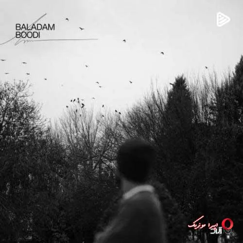 دانلود آهنگ حامیم بلدم بودی دانلود آهنگ حامیم بلدم بودی