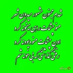دانلود متن اهنگ شدم مجنون مشهور میدون شهر دانلود متن اهنگ شدم مجنون مشهور میدون شهر