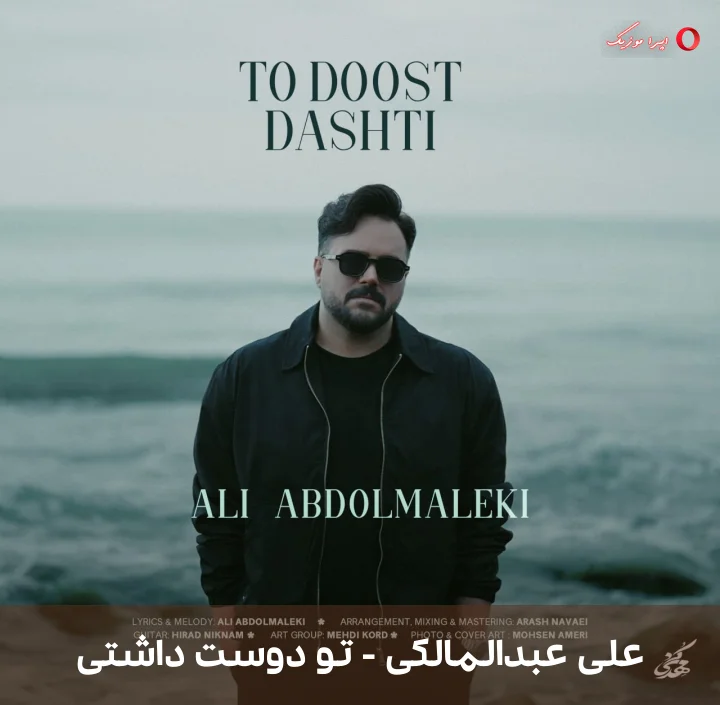 دانلود ترانه تو دوست داشتی اثر علی عبدالمالکی