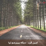 دانلود ریمیکس دیگه بمیرمم نیا امین فرد