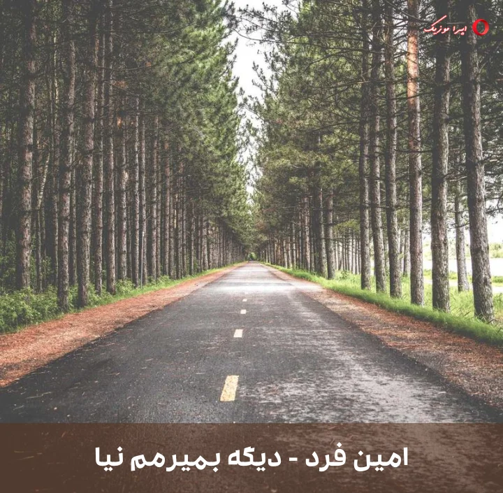 دانلود ریمیکس دیگه بمیرمم نیا امین فرد