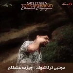 دانلود موزیک چیزده عشقگم اثر مجتبی ترکاشوند