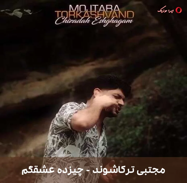 دانلود موزیک چیزده عشقگم اثر مجتبی ترکاشوند